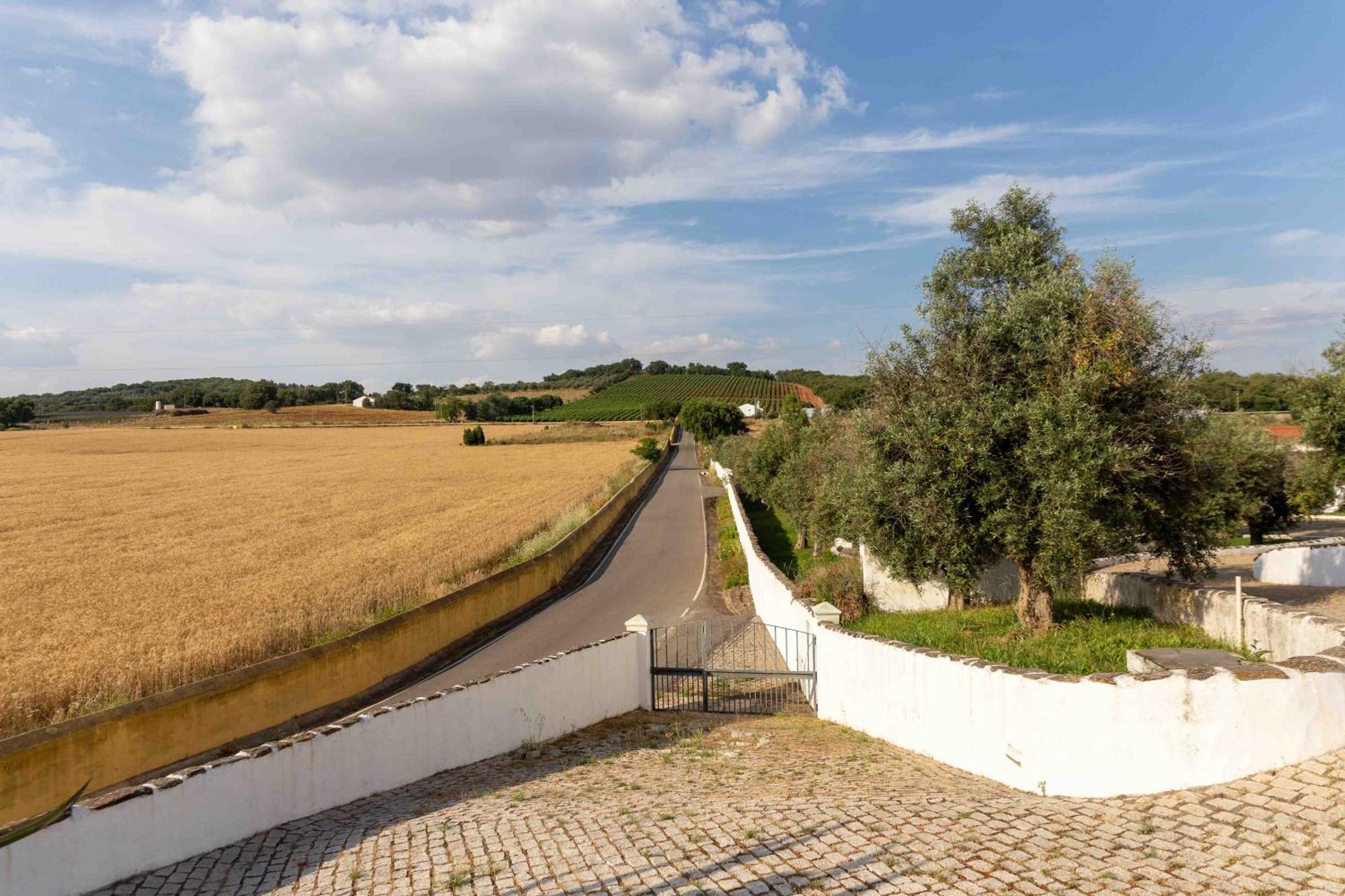 Monte Das Oliveiras - Casas De Campo Estremoz Exterior photo